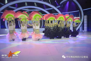舞韻綻芳華，星光啟航藝術(shù)培訓(xùn)學(xué)校攜《陌上花開》亮相四川廣播電視臺(tái)超級(jí)新秀場